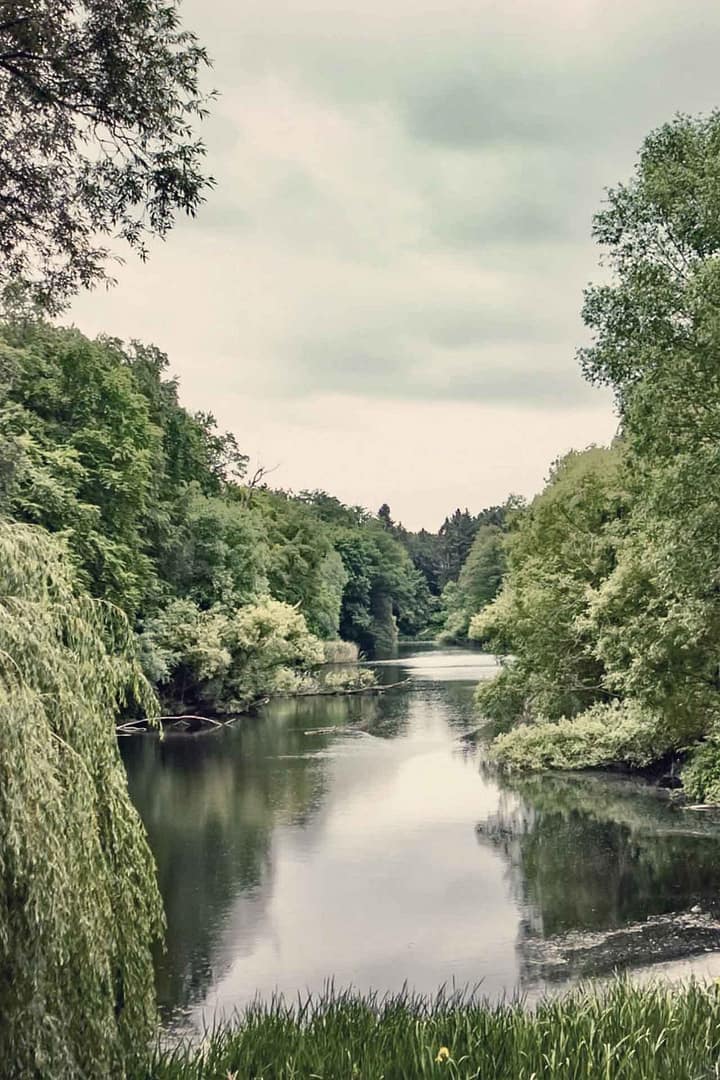 Porträt eines Mannes mit weißem Hemd vor dunklem Hintergrund