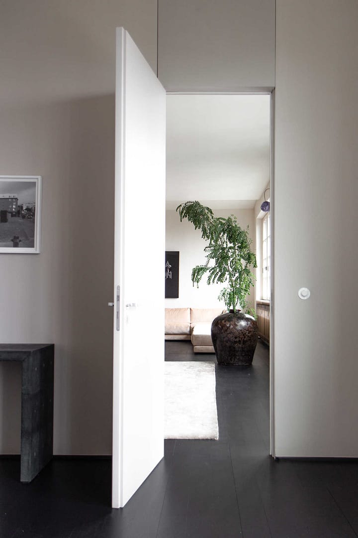Blick durch weiße Tür auf Wohnzimmer mit großem Pflanzgefäß und Sofaecke